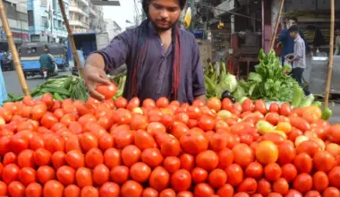 a vendor arranges tomatoes on his pushcart the kitchen essential was selling on pushcarts for rs400 450 and in supermarkets at rs550 580 due to short supply in the market photo jalal qureshi express