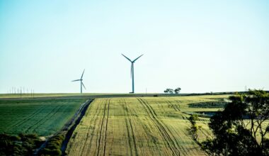 WA led the way. Tenindewa Western Australia. Image Kshithij Chandrashekar, Unsplash