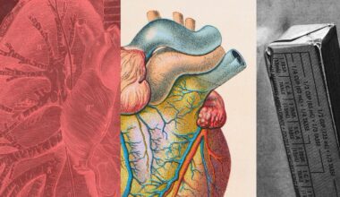 What Is LDL Cholesterol and How Do You Lower It?