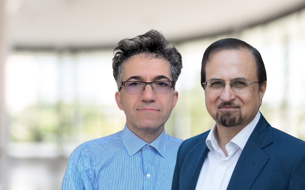 Nanoparticles in Alzheimer’s disease: a new frontier in diagnosis and therapy