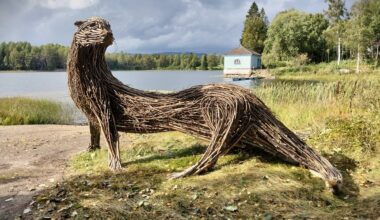 A sculpture of an otter made from branches and twigs by Rodolfo Liprandi