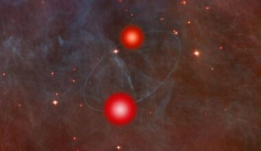 Low, Low, and Lower: A Binary Ultracool Dwarf System is Detected at 340 MHz