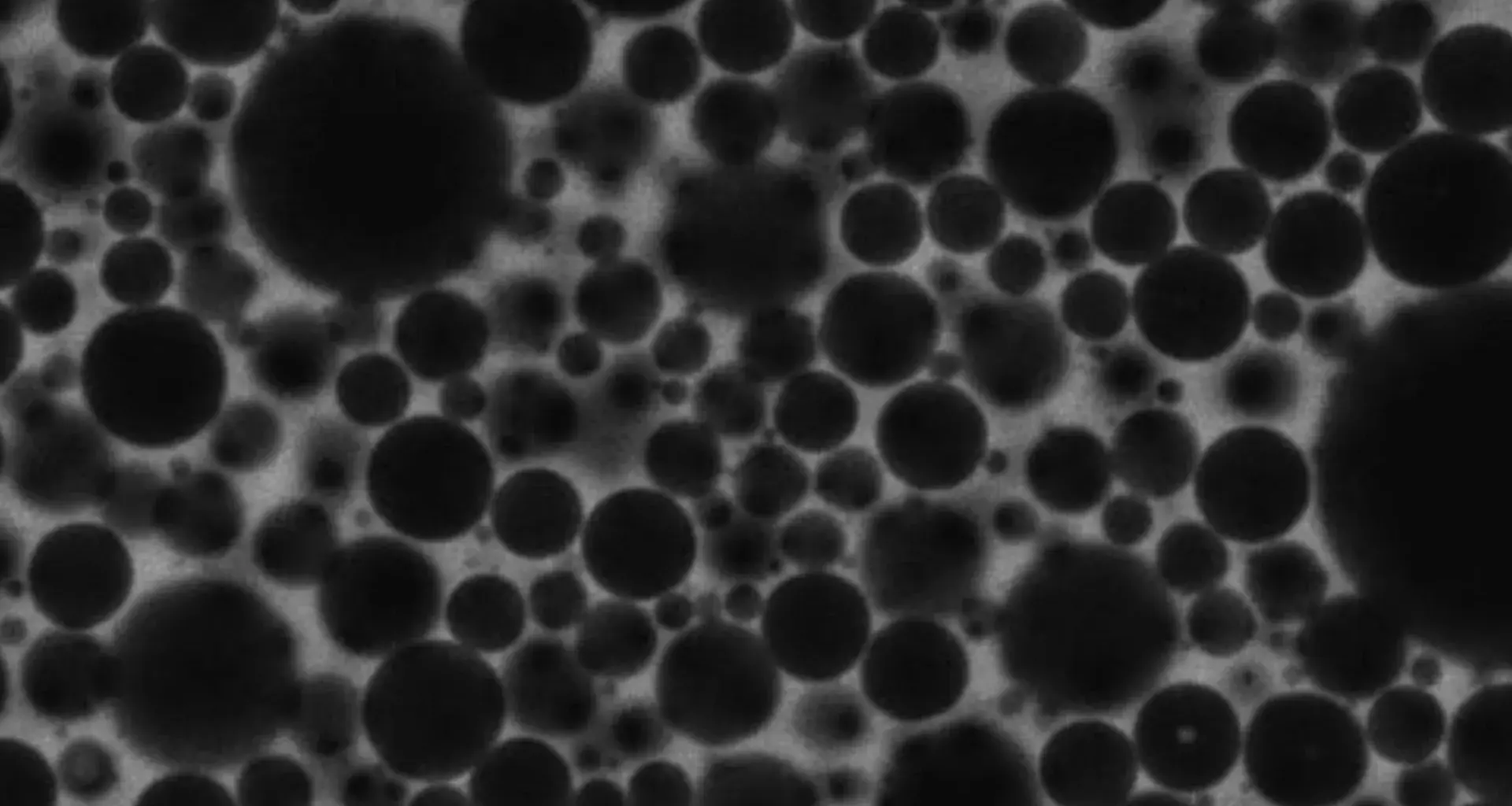 How everyday foam reveals the secret logic of artificial intelligence