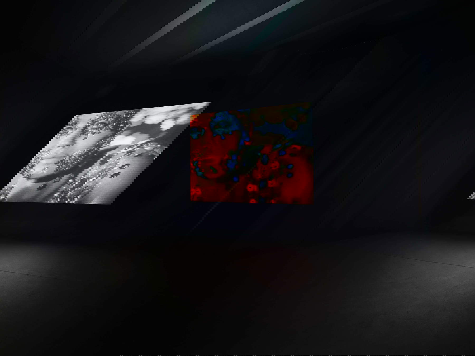 Nan Goldin, Sirens (2019-2020). Installation view, Pirelli HangarBicocca, Milan, 2025 © Nan Goldin, courtesy of the artist, Gagosian and Pirelli HangarBicocca, Milan. Photo: Agostino Osio