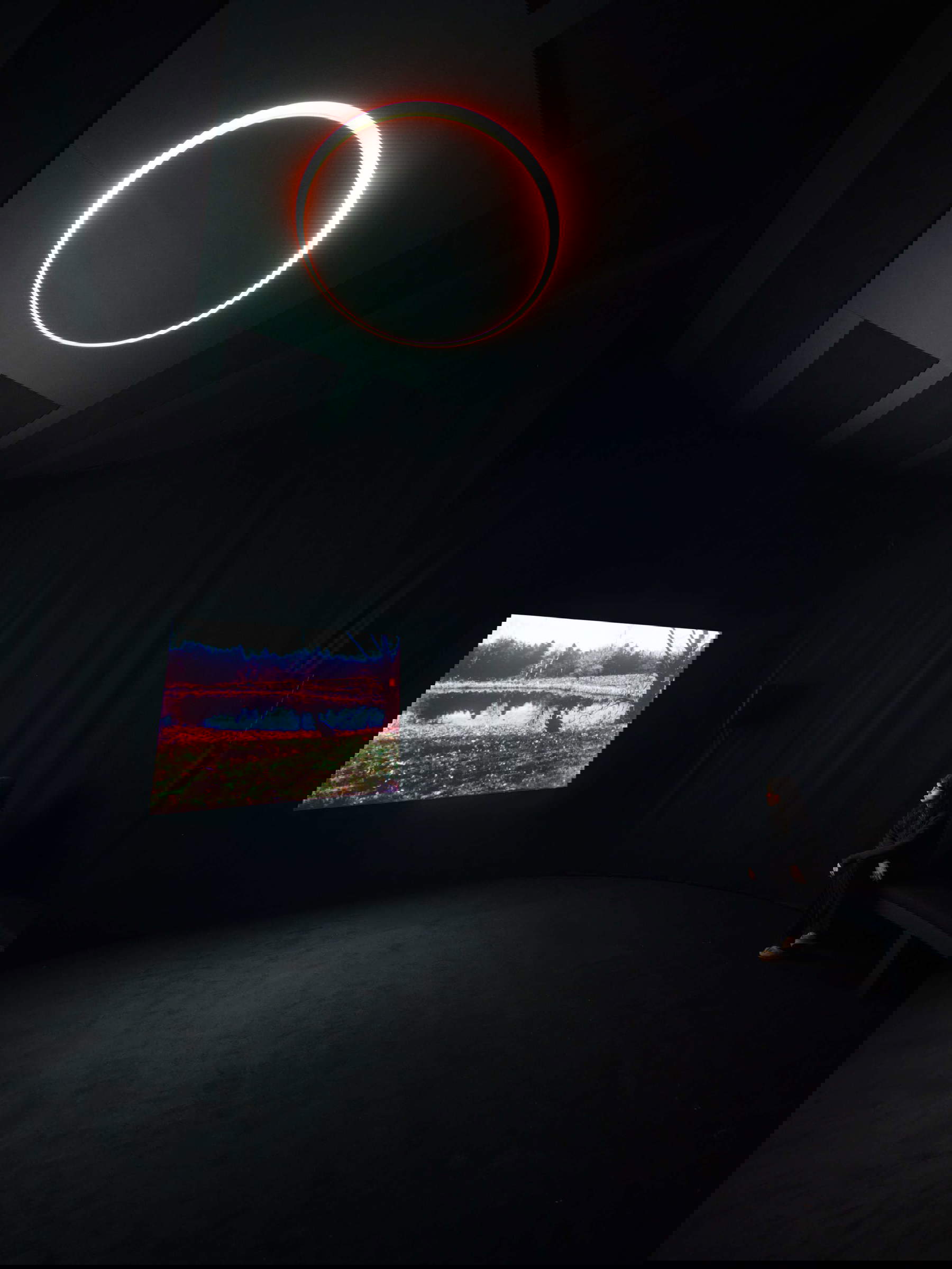 Nan Goldin, You Never Did Anything Wrong (2024). Installation view, Pirelli HangarBicocca, Milan, 2025 © Nan Goldin, courtesy of the artist, Gagosian and Pirelli HangarBicocca, Milan. Photo: Agostino Osio