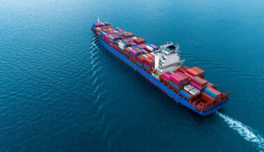 Global economy survives tariff shock: UN