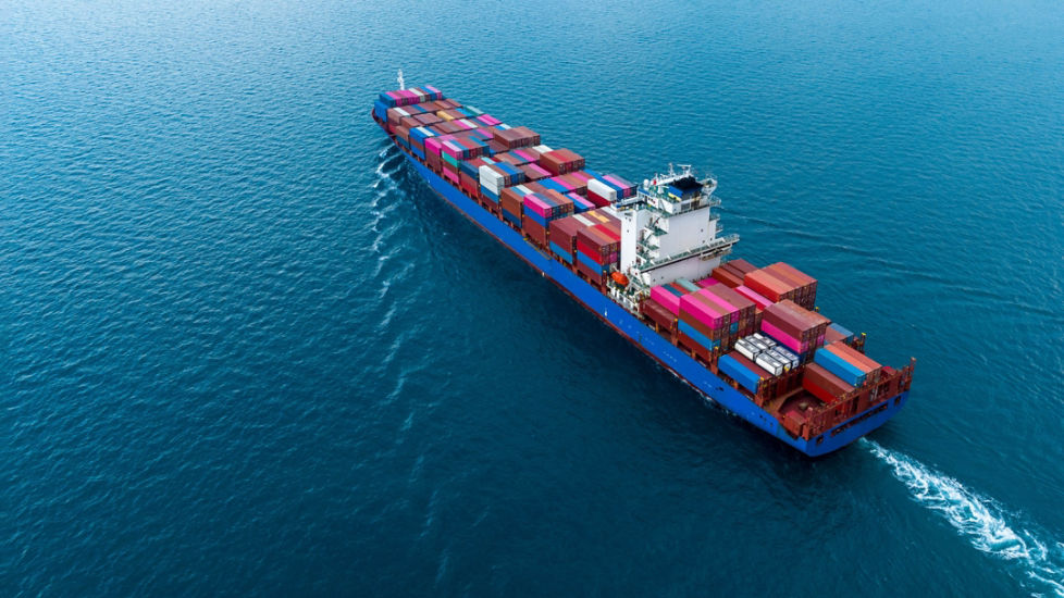 Global economy survives tariff shock: UN