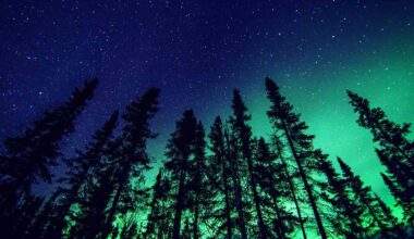 How to Watch the Northern Lights from 24 States Tonight
