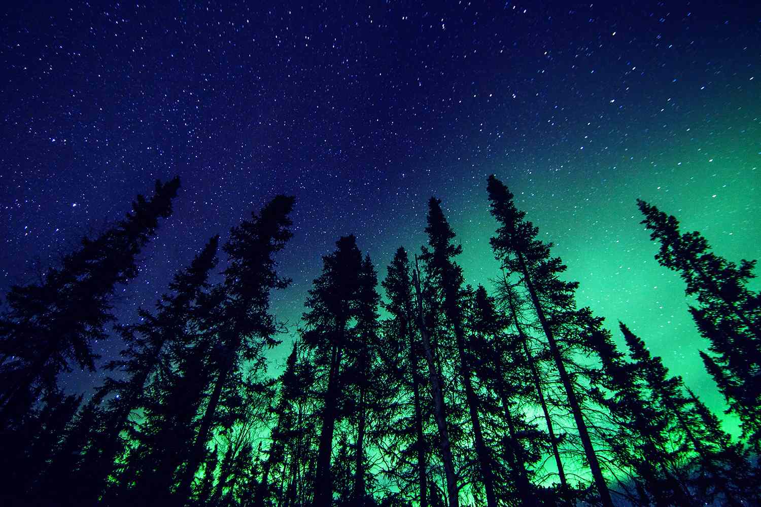 How to Watch the Northern Lights from 24 States Tonight