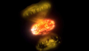 Capturing the Moment a White Dwarf Exploded