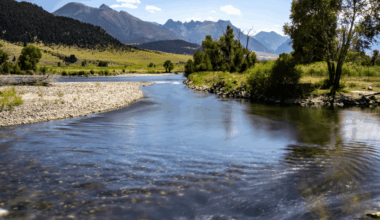 Now Discern This: Called, Sent & Beloved