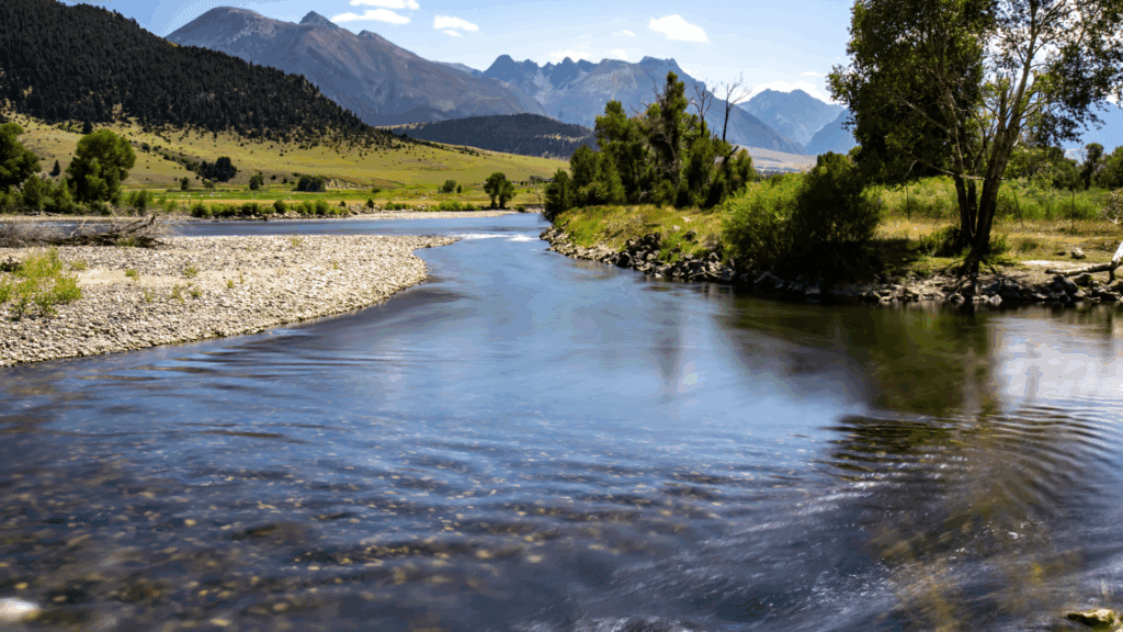 Now Discern This: Called, Sent & Beloved