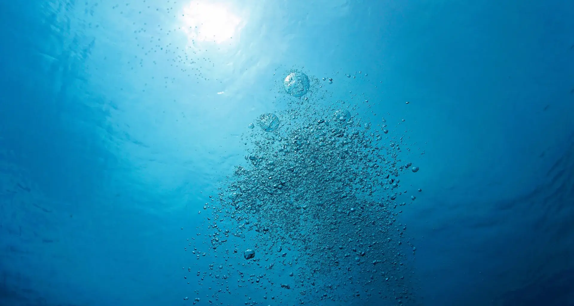 The oxygen you breathe depends on a tiny ocean ingredient