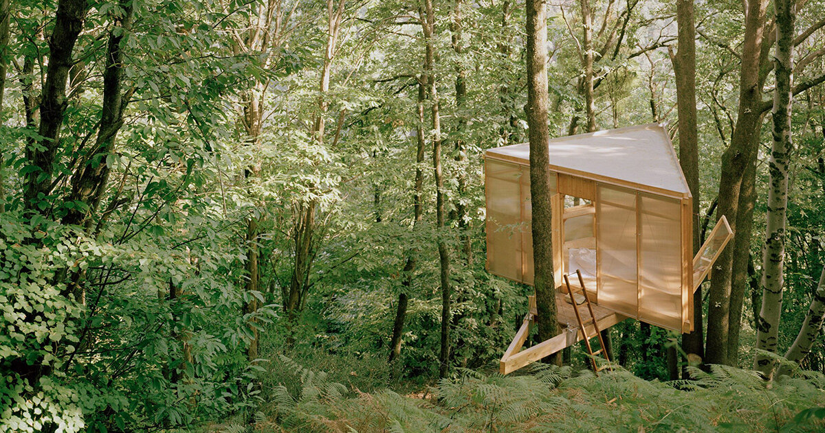 olin petzold hides minimalist treehouse in the woods of switzerland
