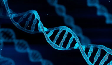 Latest in DNA Research Destroys Evolutionary “Proof”