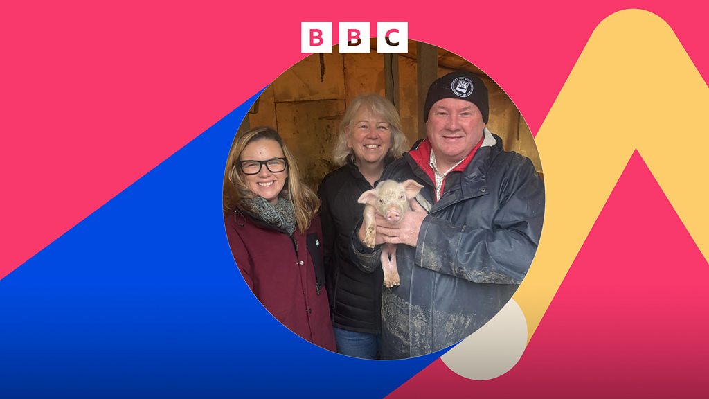 Money Box - Money Box Live: Inheritance Tax