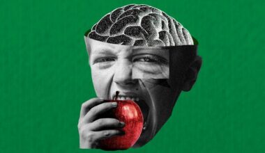 The protective effect that fibre has on cognition