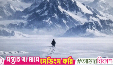 The penguin walked away. Why though?