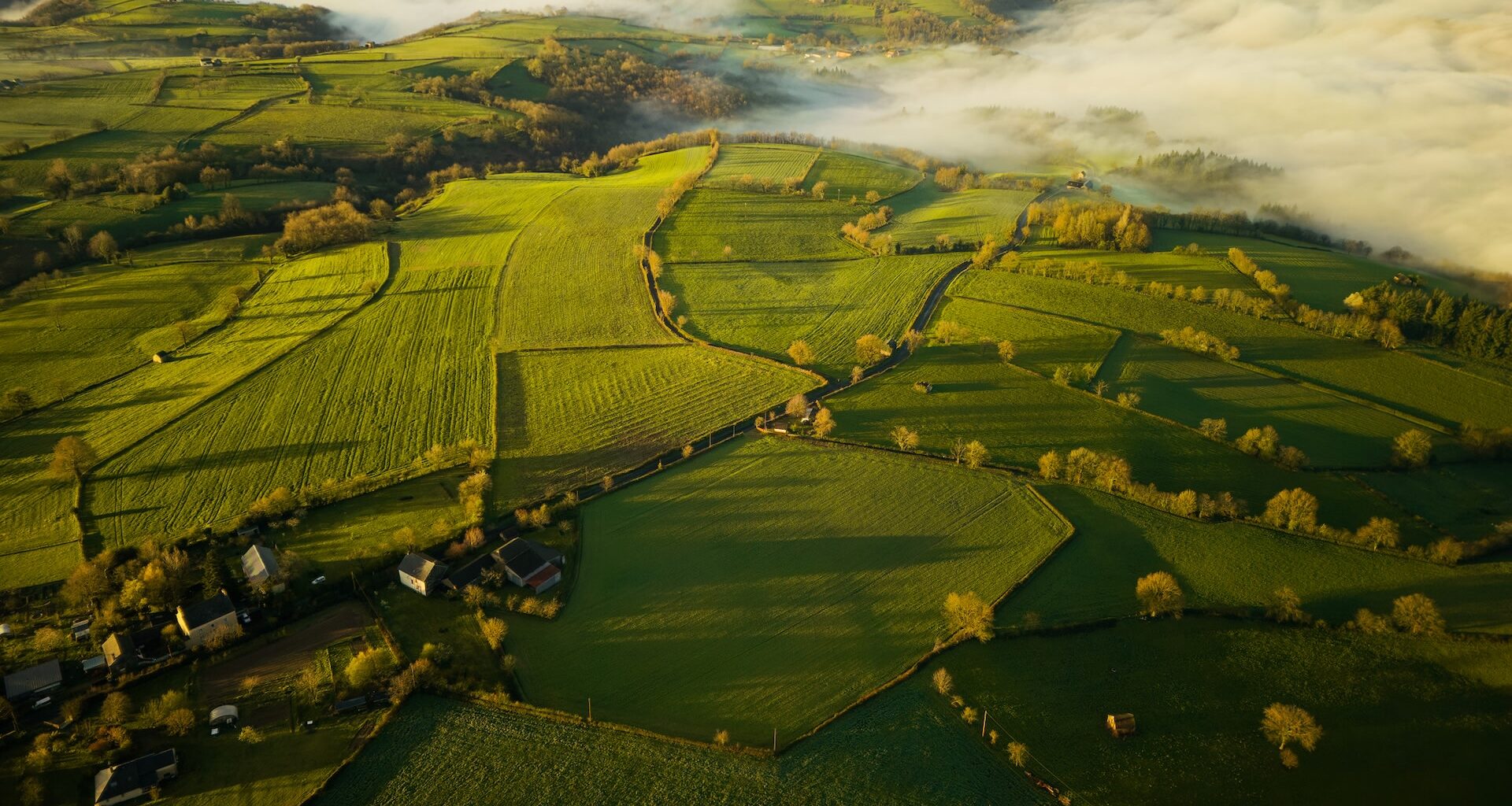 Following the European Union's ban on harmful pesticides, a recent study has shown that bird populations are slowly recovering.