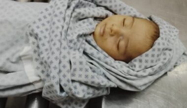 Gaza on Sunday: Israel Kills 4, Wounds 6 Palestinians in Continued Ceasefire Violations |