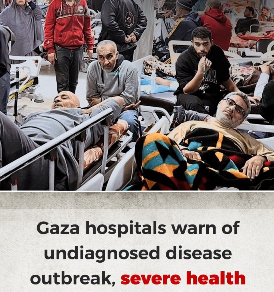 UN: Record Levels of Disease Currently Spreading in Gaza |
