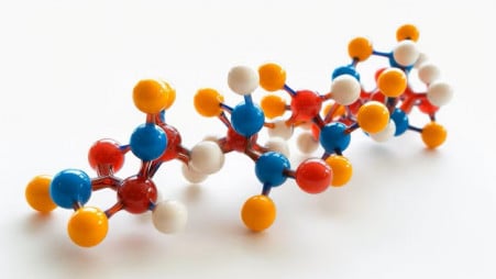 Representational Image of Protein. Photo: Collected