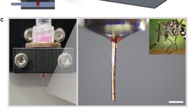 Concept and configuration of 3D necroprinting. Image via McGill University.