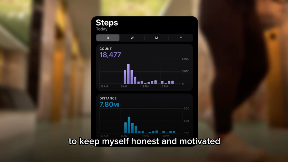 step and distance tracking interface displaying daily statistics
