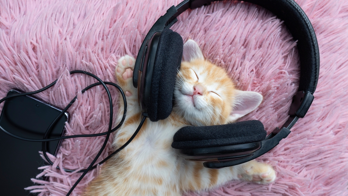 January 3rd to January 9th