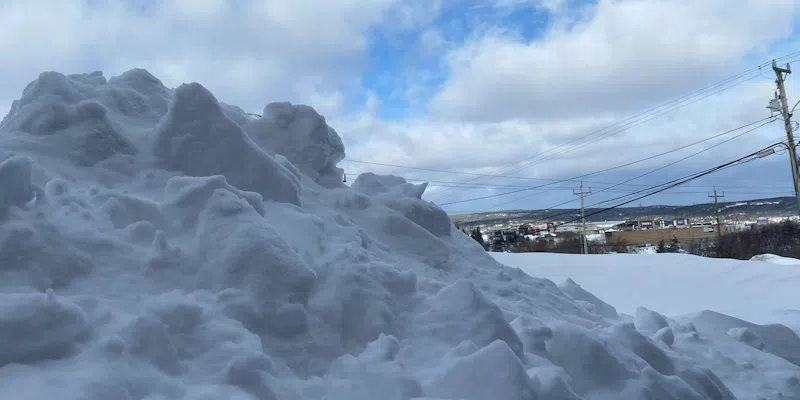 Capital City Explains Decision to Go Ahead with Garbage Collection Monday