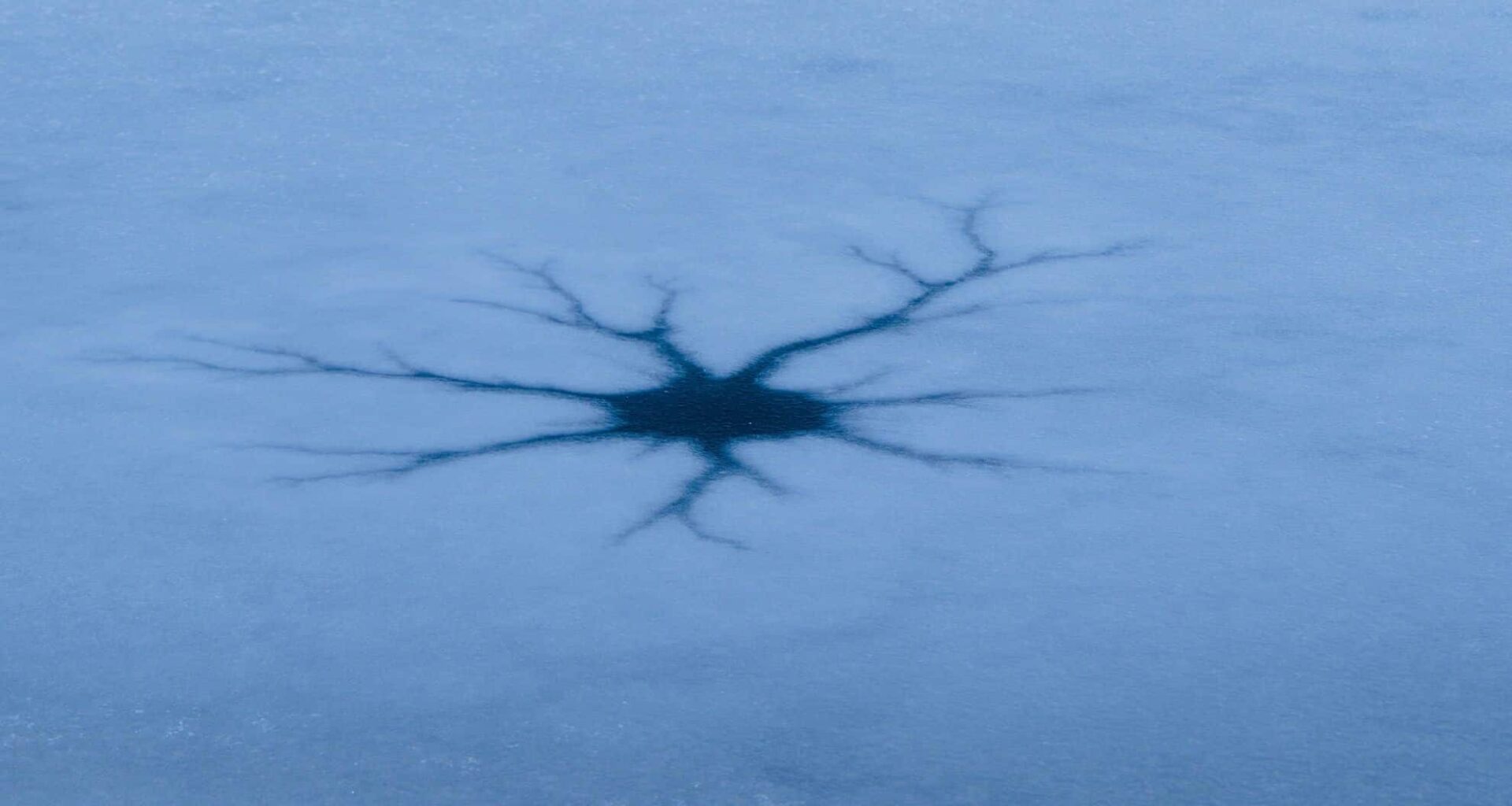 Spider Like Pattern On Europa (illustrative Image)