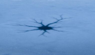 Spider Like Pattern On Europa (illustrative Image)