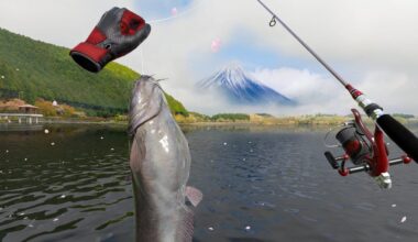 Real VR Fishing Sold One Million Copies So Far