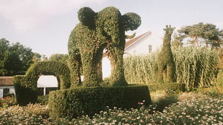 A topiary from Fast, Cheap & Out of Control