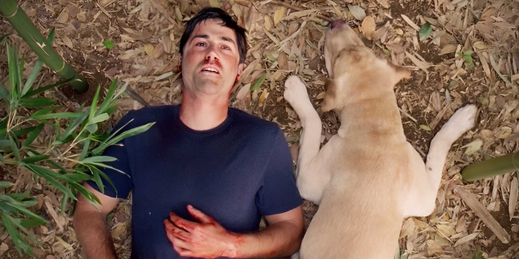 Jack lying on the ground next to Vincent and looking up at the sky at the end of Lost