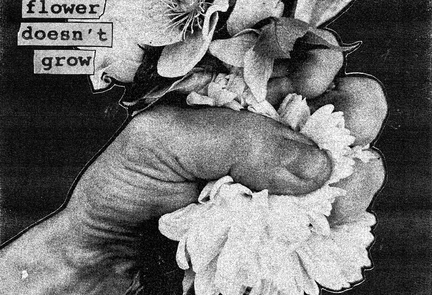 Album Review: Softcult - 'When A Flower Doesn’t Grow' — When The Horn Blows