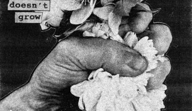 Album Review: Softcult - 'When A Flower Doesn’t Grow' — When The Horn Blows