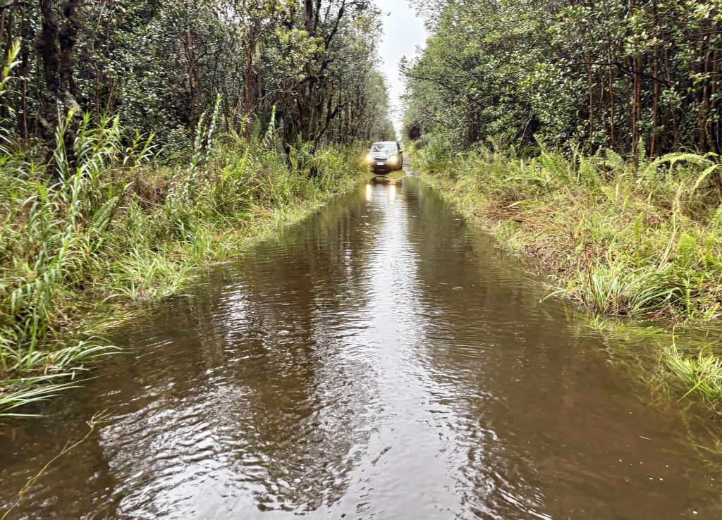 UPDATE: Laupāhoehoe Point Road, portion of Highway 11 in Kaʻū, reopen : Big Island Now