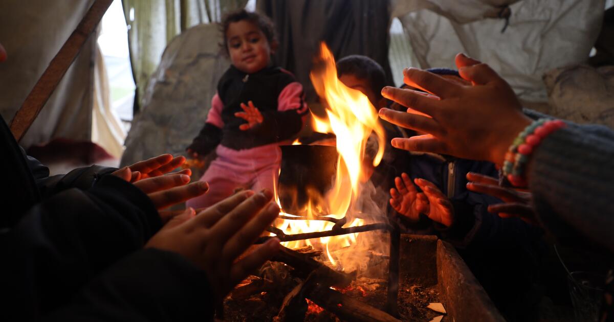 Grandmother and her grandson burn to death in a tent as Palestinians in Gaza battle winter