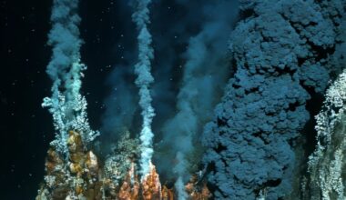 Earthquakes boost Southern Ocean phytoplankton blooms