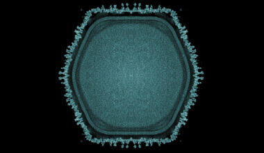 Giant Virus Discovered in Japanese Pond May Hint at Multicellular Life's Origins : ScienceAlert