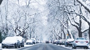 snow vancouver photos / white christmas b.c. / snow warning b.c. / winter b.c.