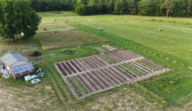 DIY, Full-Stack Farm Automation | Hackaday