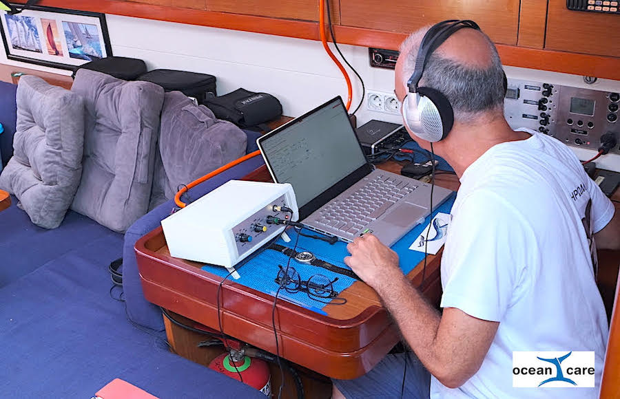 Save Whales is a whale-tracking and alert system