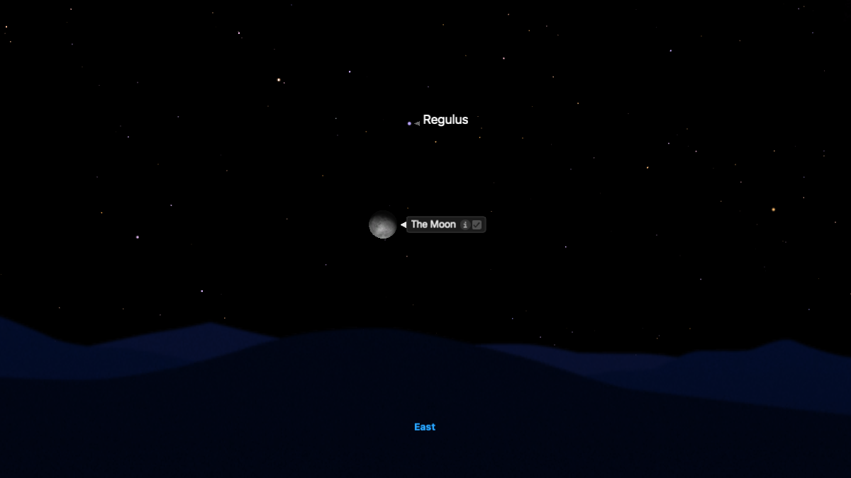 A simulation of the night sky for Jan. 6 showing the moon above the simulated eastern horizon with the bright star Regulus labelled above it in a black sky.
