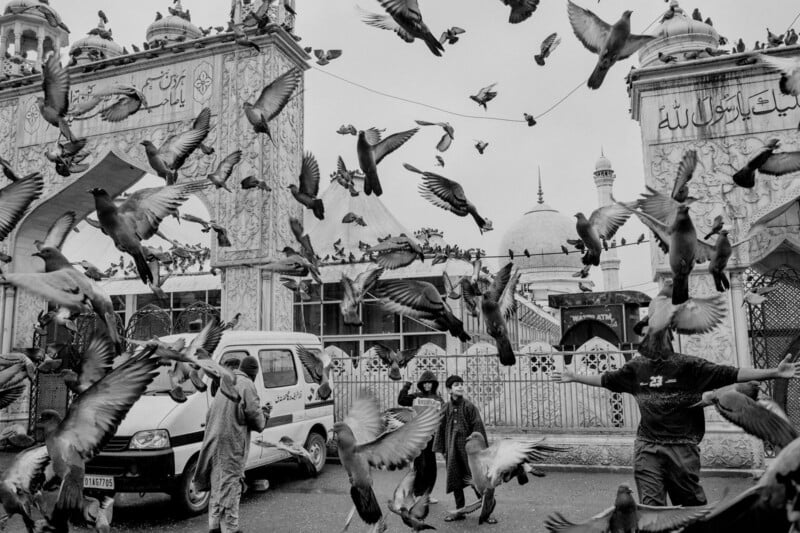 A flock of pigeons flies around people standing near an ornate building with domes and Arabic script on its façade. An ambulance is parked nearby, and the scene appears lively and busy.