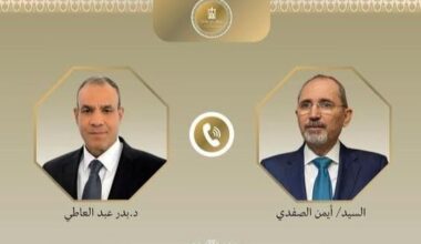 Egyptian, Jordanian FMs discuss regional developments