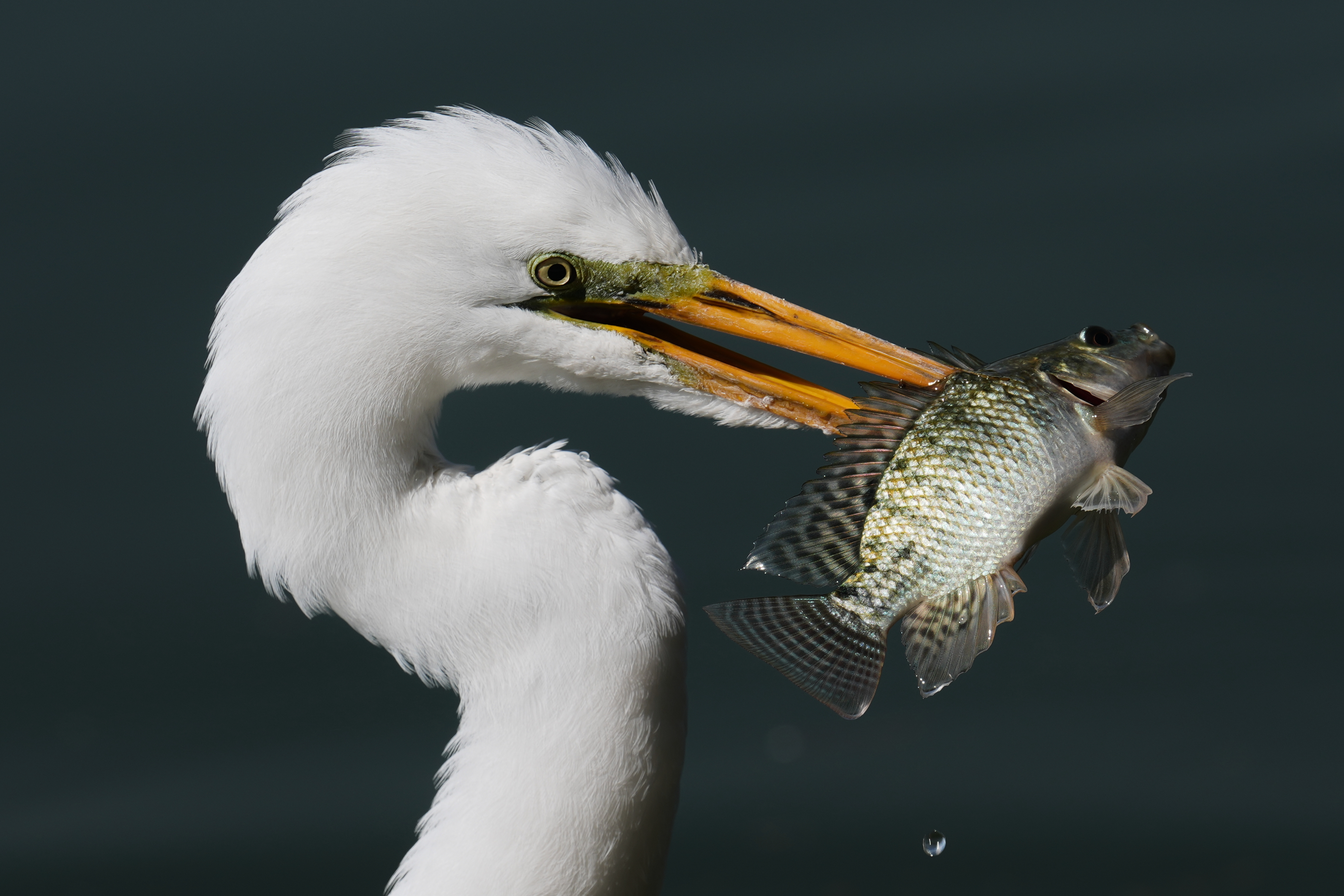 APTOPIX Mexico Daily Life