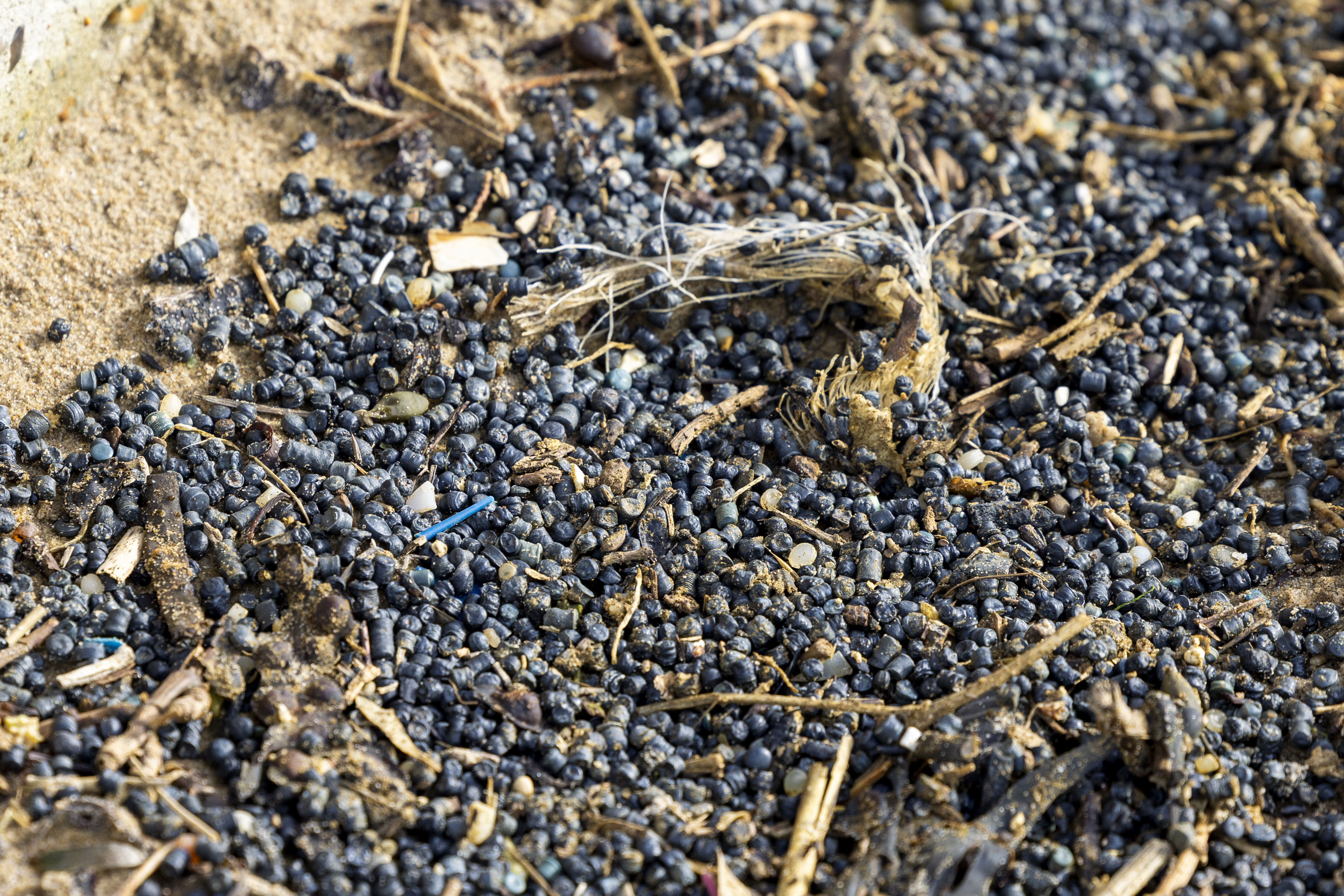 Close-up of thousands of tiny black plastic bio-beads mixed with sand and debris on a beach.