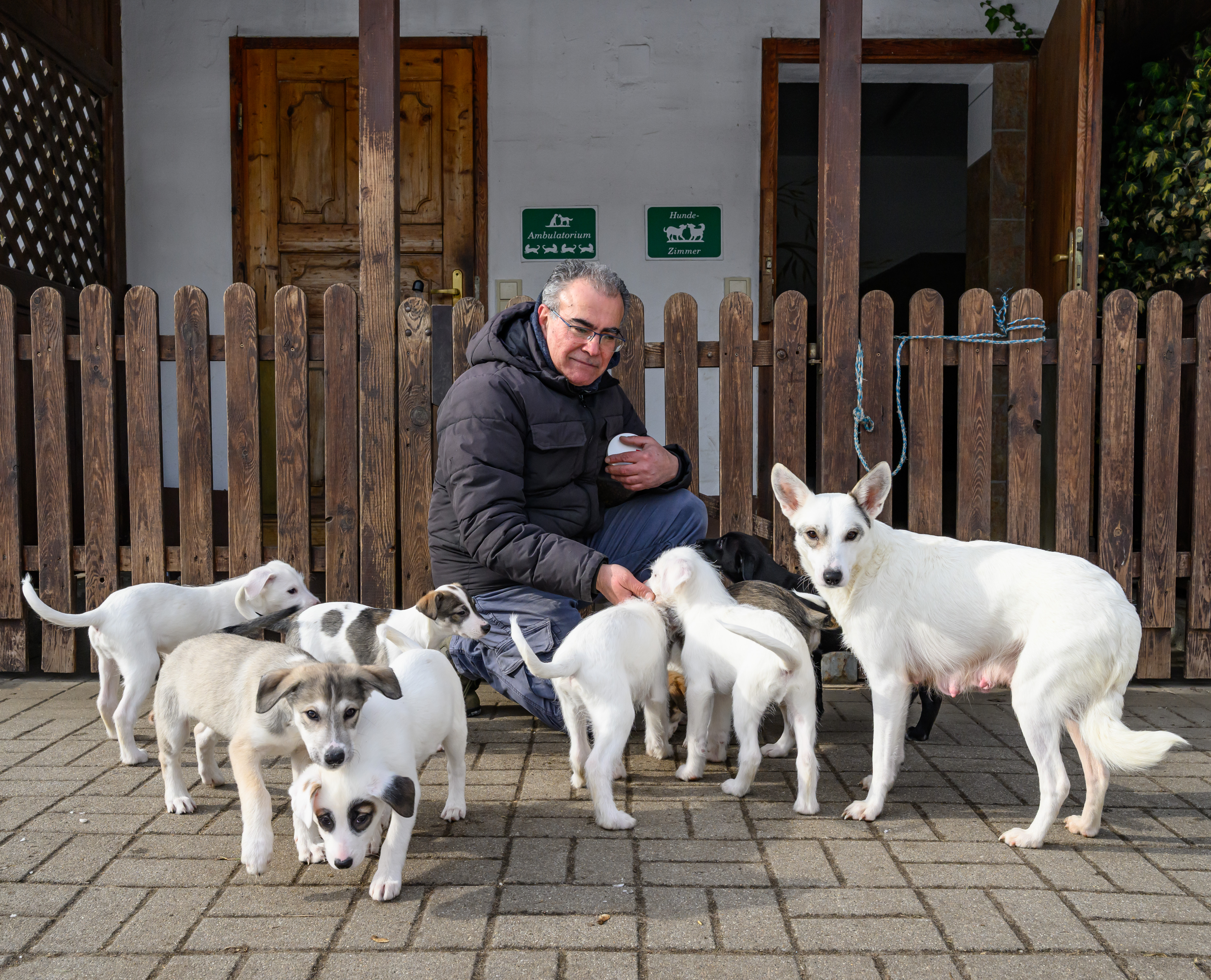 Hasan Tatari, a vet and head of an animal shelter, sitting on the ground surrounded by the dog Sophia and her eight puppies, all rescued from Ukraine.